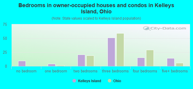 Bedrooms in owner-occupied houses and condos in Kelleys Island, Ohio