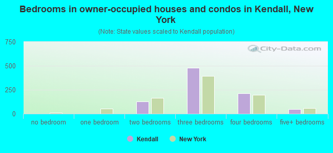 Bedrooms in owner-occupied houses and condos in Kendall, New York