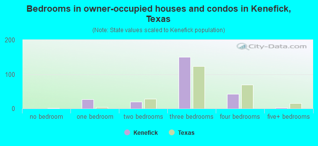 Bedrooms in owner-occupied houses and condos in Kenefick, Texas