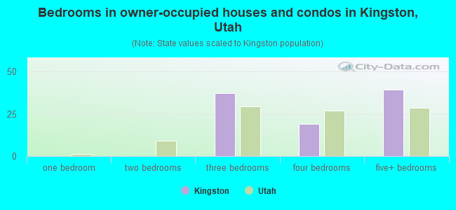 Bedrooms in owner-occupied houses and condos in Kingston, Utah
