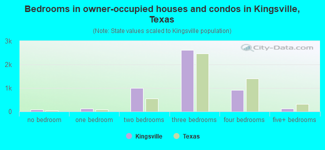 Bedrooms in owner-occupied houses and condos in Kingsville, Texas