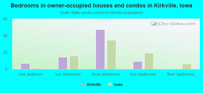 Bedrooms in owner-occupied houses and condos in Kirkville, Iowa