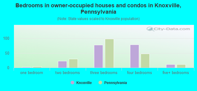 Bedrooms in owner-occupied houses and condos in Knoxville, Pennsylvania
