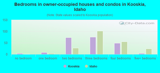 Bedrooms in owner-occupied houses and condos in Kooskia, Idaho