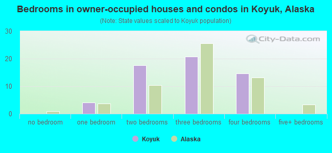 Bedrooms in owner-occupied houses and condos in Koyuk, Alaska