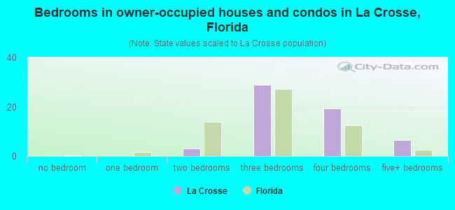 Bedrooms in owner-occupied houses and condos in La Crosse, Florida