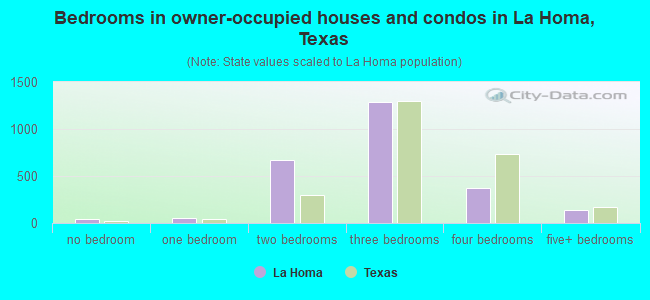 Bedrooms in owner-occupied houses and condos in La Homa, Texas