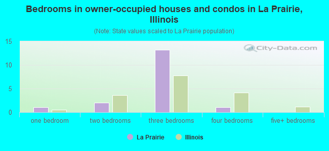 Bedrooms in owner-occupied houses and condos in La Prairie, Illinois