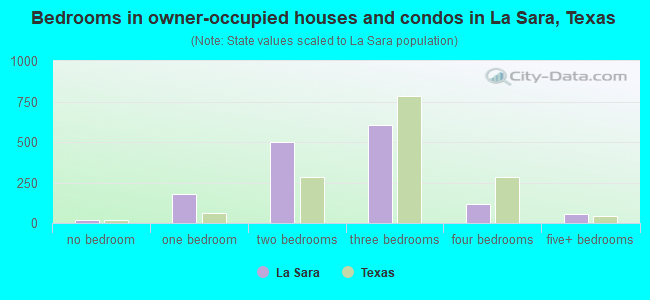 Bedrooms in owner-occupied houses and condos in La Sara, Texas