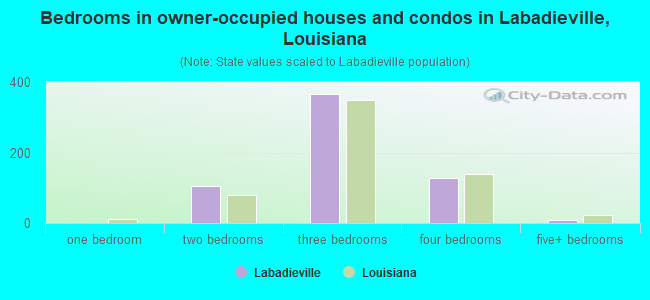 Bedrooms in owner-occupied houses and condos in Labadieville, Louisiana