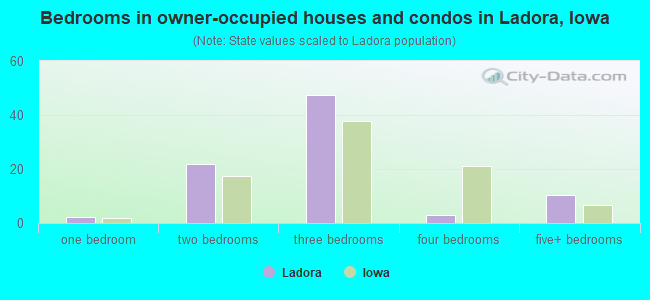 Bedrooms in owner-occupied houses and condos in Ladora, Iowa