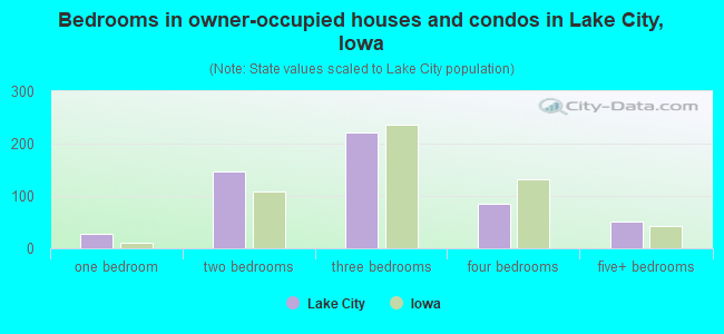 Bedrooms in owner-occupied houses and condos in Lake City, Iowa