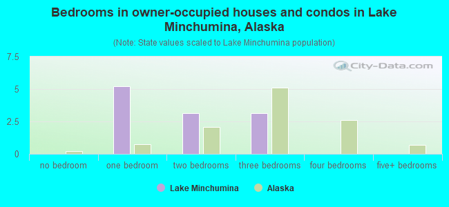 Bedrooms in owner-occupied houses and condos in Lake Minchumina, Alaska
