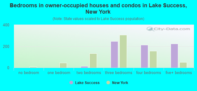 Bedrooms in owner-occupied houses and condos in Lake Success, New York