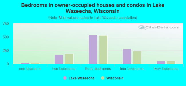Bedrooms in owner-occupied houses and condos in Lake Wazeecha, Wisconsin