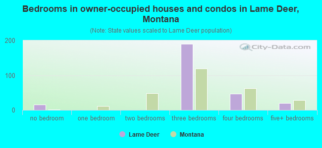 Bedrooms in owner-occupied houses and condos in Lame Deer, Montana