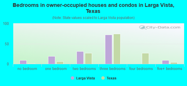 Bedrooms in owner-occupied houses and condos in Larga Vista, Texas