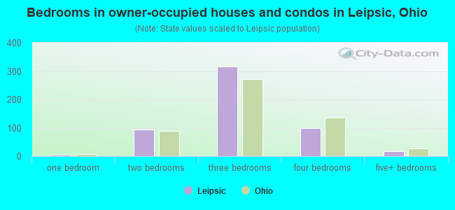 Bedrooms in owner-occupied houses and condos in Leipsic, Ohio