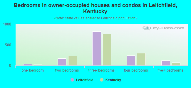 Bedrooms in owner-occupied houses and condos in Leitchfield, Kentucky