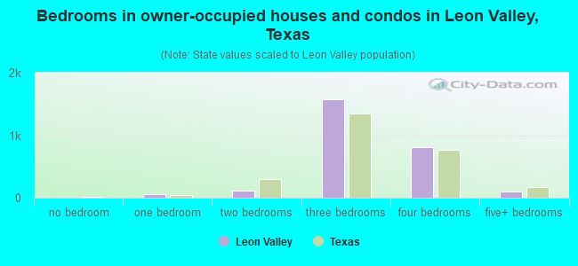 Bedrooms in owner-occupied houses and condos in Leon Valley, Texas