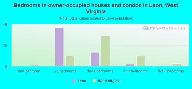 Bedrooms in owner-occupied houses and condos in Leon, West Virginia