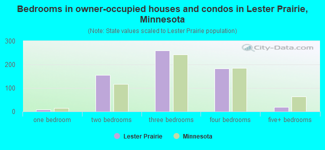 Bedrooms in owner-occupied houses and condos in Lester Prairie, Minnesota