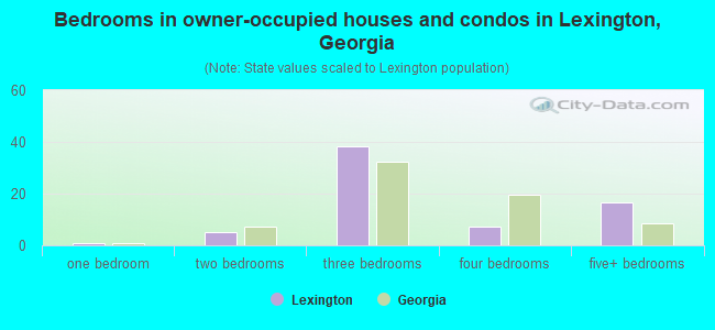 Bedrooms in owner-occupied houses and condos in Lexington, Georgia