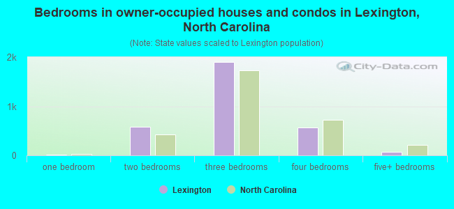 Bedrooms in owner-occupied houses and condos in Lexington, North Carolina