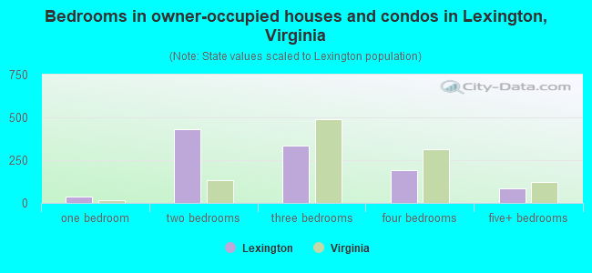 Bedrooms in owner-occupied houses and condos in Lexington, Virginia
