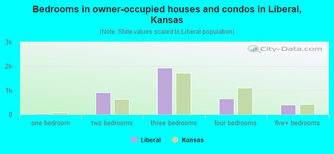 Bedrooms in owner-occupied houses and condos in Liberal, Kansas