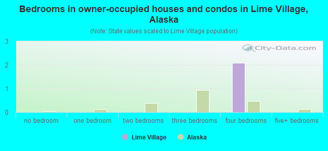 Bedrooms in owner-occupied houses and condos in Lime Village, Alaska