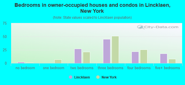 Bedrooms in owner-occupied houses and condos in Lincklaen, New York