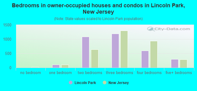 Bedrooms in owner-occupied houses and condos in Lincoln Park, New Jersey