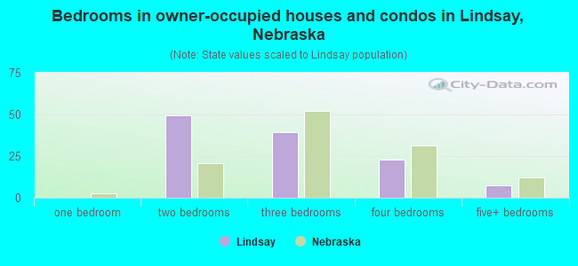 Bedrooms in owner-occupied houses and condos in Lindsay, Nebraska