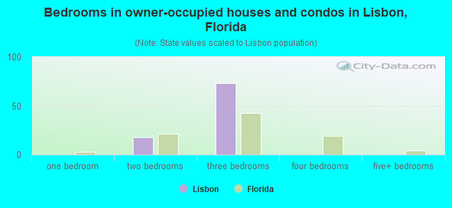Bedrooms in owner-occupied houses and condos in Lisbon, Florida