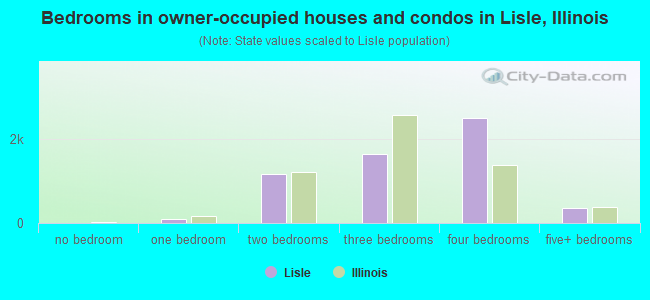Bedrooms in owner-occupied houses and condos in Lisle, Illinois