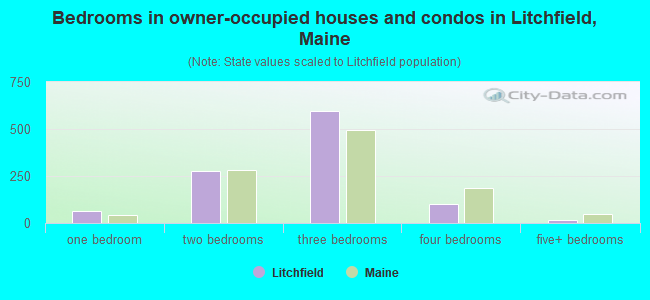 Bedrooms in owner-occupied houses and condos in Litchfield, Maine