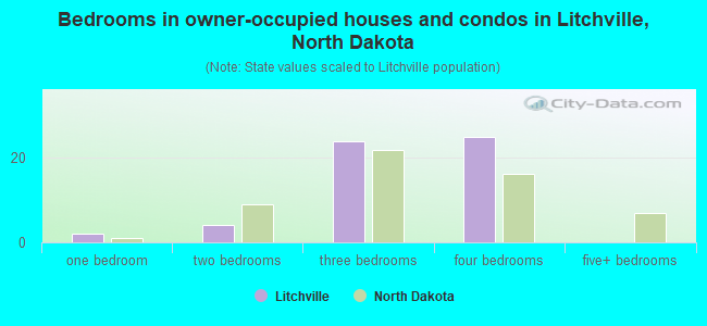 Bedrooms in owner-occupied houses and condos in Litchville, North Dakota