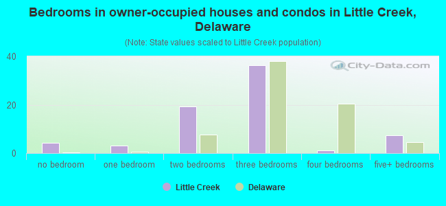 Bedrooms in owner-occupied houses and condos in Little Creek, Delaware