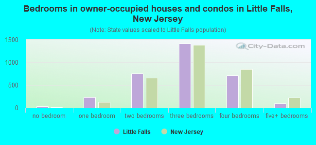 Bedrooms in owner-occupied houses and condos in Little Falls, New Jersey