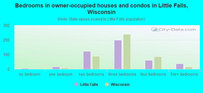 Bedrooms in owner-occupied houses and condos in Little Falls, Wisconsin