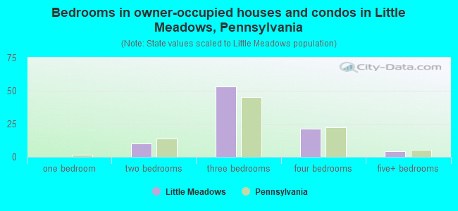 Bedrooms in owner-occupied houses and condos in Little Meadows, Pennsylvania