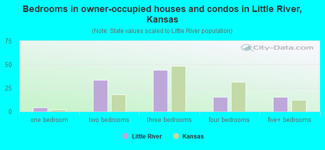 Bedrooms in owner-occupied houses and condos in Little River, Kansas