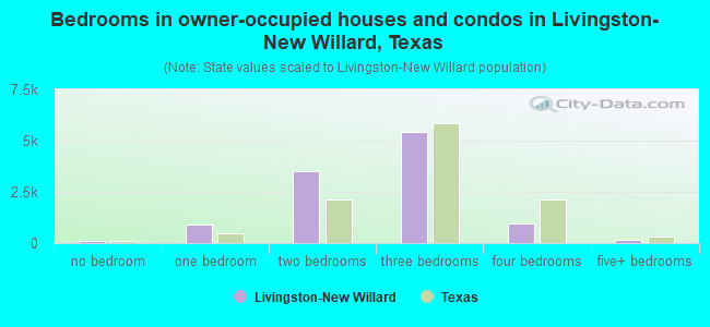 Bedrooms in owner-occupied houses and condos in Livingston-New Willard, Texas