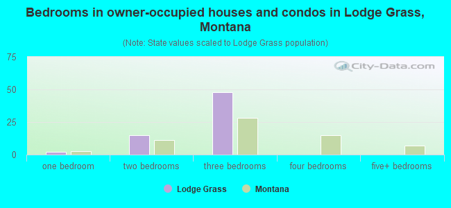 Bedrooms in owner-occupied houses and condos in Lodge Grass, Montana