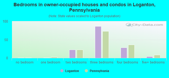 Bedrooms in owner-occupied houses and condos in Loganton, Pennsylvania