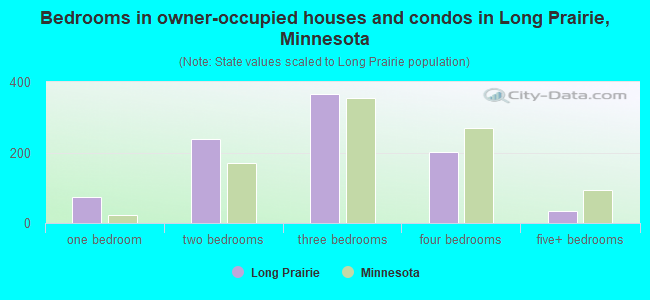 Bedrooms in owner-occupied houses and condos in Long Prairie, Minnesota