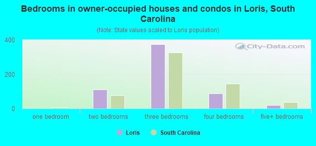 Bedrooms in owner-occupied houses and condos in Loris, South Carolina