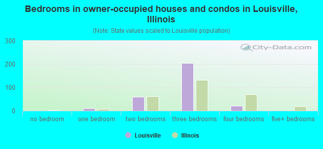 Bedrooms in owner-occupied houses and condos in Louisville, Illinois