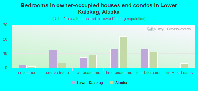 Bedrooms in owner-occupied houses and condos in Lower Kalskag, Alaska